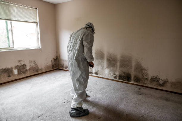 Mold Remediation for Vacation Homes in Park City, UT